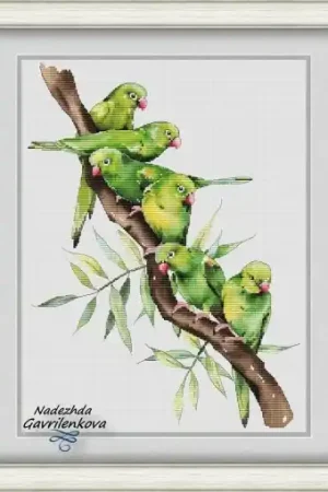 Certified Feathered Friends Cross Stitch Pattern