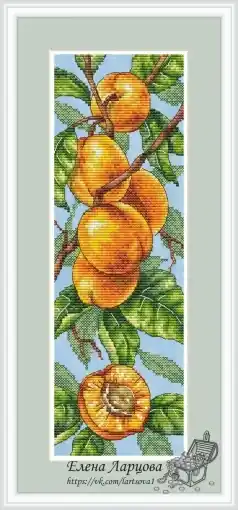 Cheap My Garden. Sunny Apricot Cross Stitch Pattern