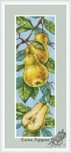 Editor’s Pick My Garden. Fragrant Pear Cross Stitch Pattern