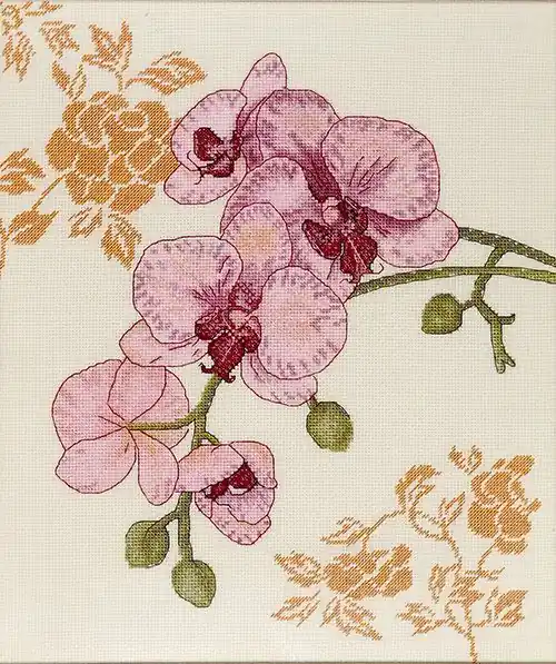 Buy Direct Orchid Counted cross stitch kit 1214A