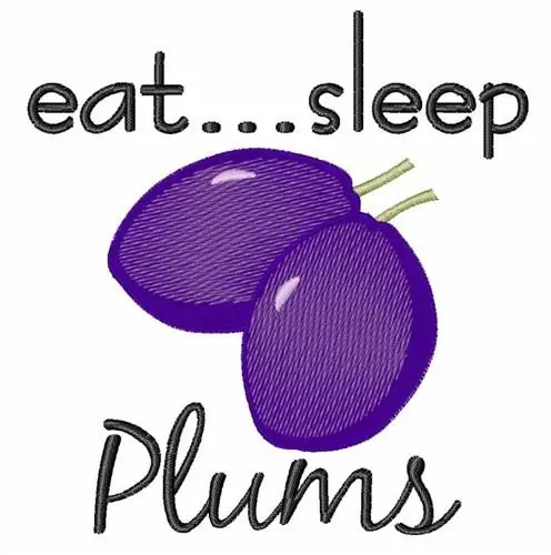 Eat Sleep Plums Embroidery Design Money Back Guarantee