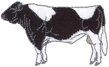 Holstein Bull Embroidery Design Get Yours